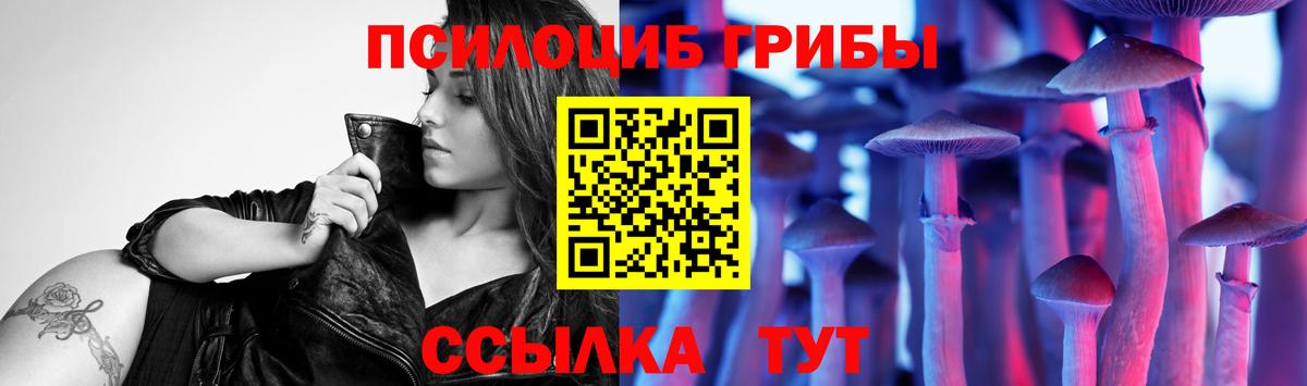 Галлюциногенные грибы мицелий  купить закладку  Удомля  Вход с VPN  Галлюциногенные грибы Cubensis 