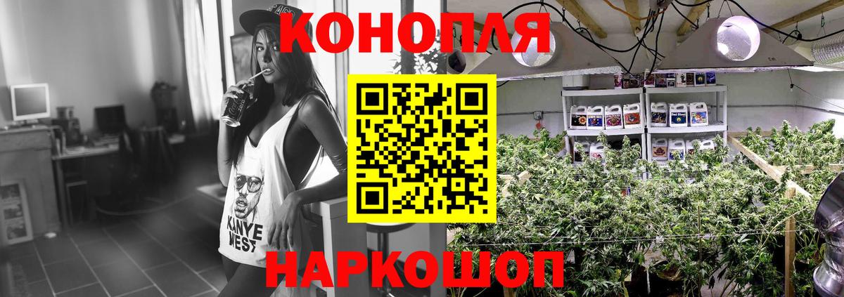 Бошки Шишки MAZAR Удомля